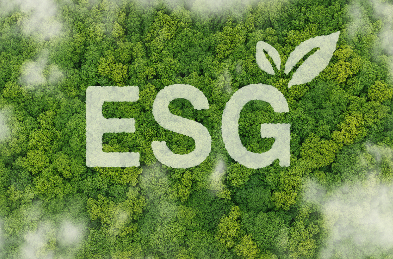 Viet Nam's banks steadily strengthen ESG commitments